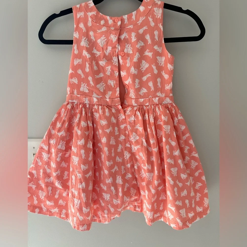 Carter’s Bunny Dress
